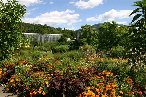 Arboretum - Botanischer Garten der Universität Tübingen